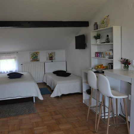 Guest House Most Buzet Exterior foto